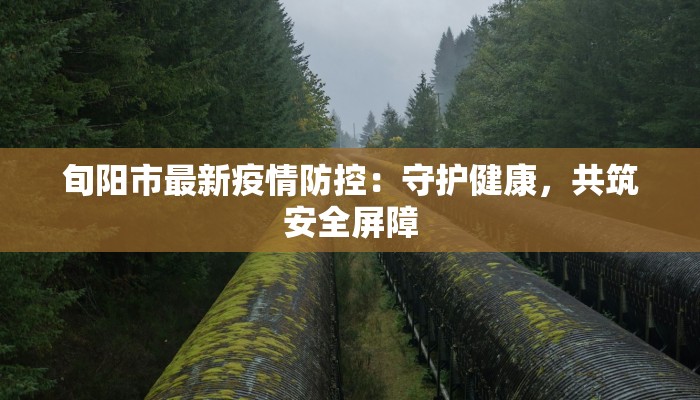 旬阳市最新疫情防控：守护健康，共筑安全屏障