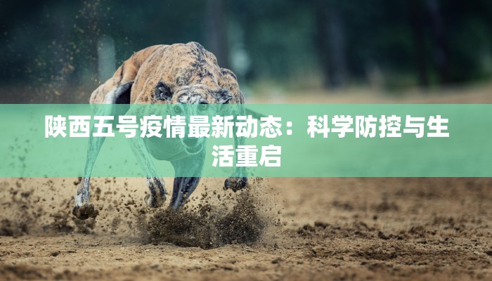 陕西五号疫情最新动态：科学防控与生活重启