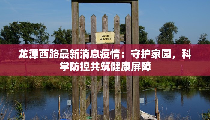 龙潭西路最新消息疫情：守护家园，科学防控共筑健康屏障