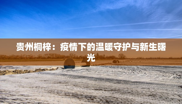贵州桐梓：疫情下的温暖守护与新生曙光