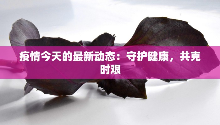 邯郸最新疫情详情