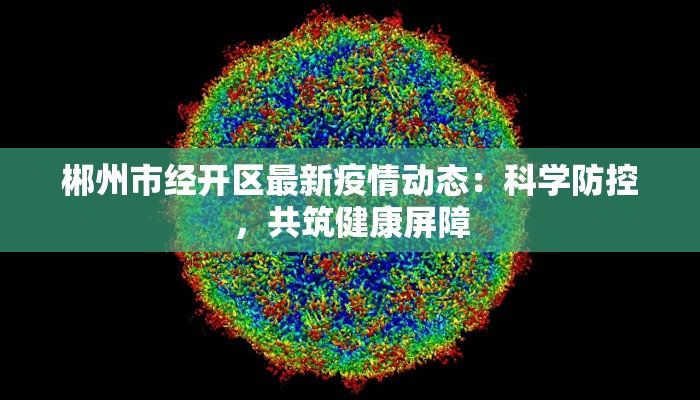 郴州市经开区最新疫情动态：科学防控，共筑健康屏障