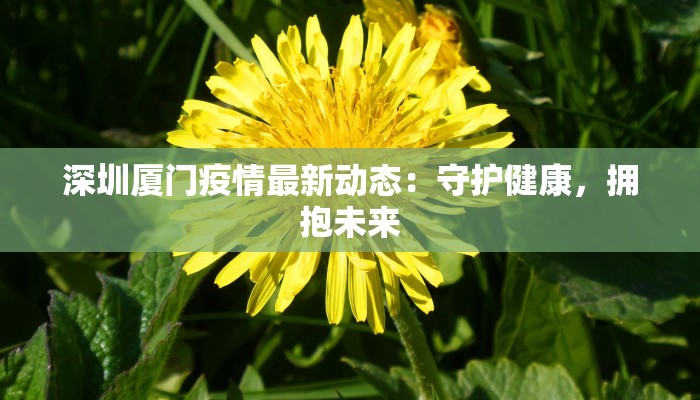 深圳厦门疫情最新动态：守护健康，拥抱未来