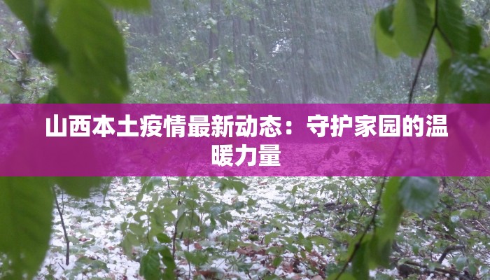 山西本土疫情最新动态：守护家园的温暖力量