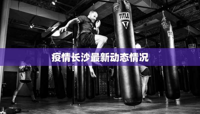 疫情长沙最新动态情况