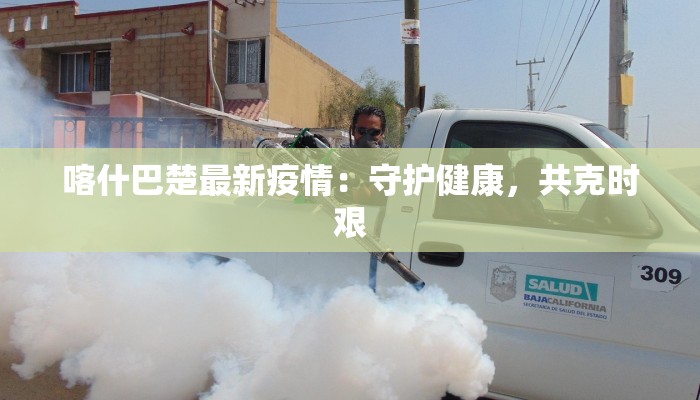 喀什巴楚最新疫情：守护健康，共克时艰