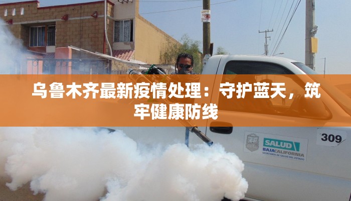 乌鲁木齐最新疫情处理：守护蓝天，筑牢健康防线