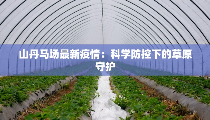 武汉疫情北湖最新：守护家园，携手共进