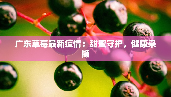 广东草莓最新疫情：甜蜜守护，健康采撷