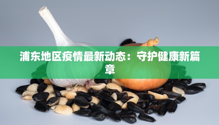 浦东地区疫情最新动态：守护健康新篇章