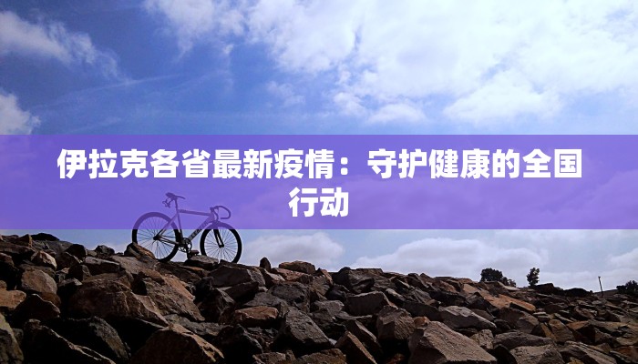 伊拉克各省最新疫情：守护健康的全国行动