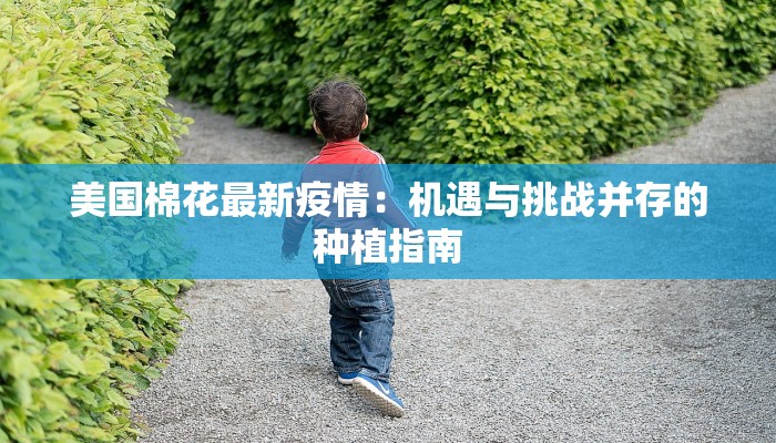 上海最新疫情在好转 上海最新疫情在好转