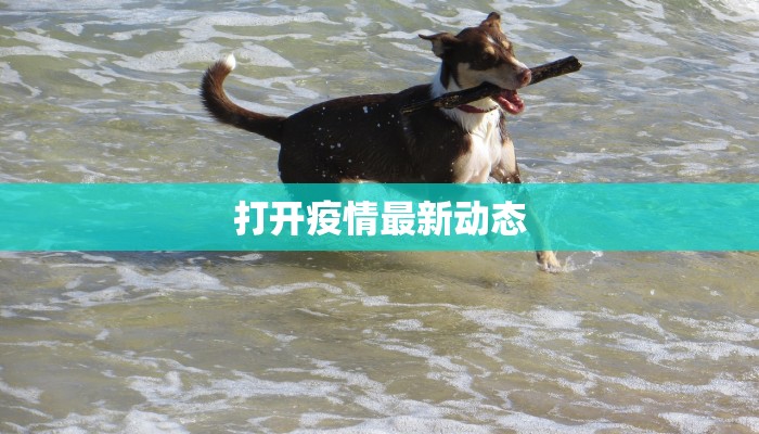 打开疫情最新动态