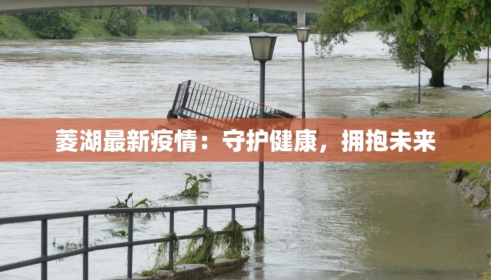 菱湖最新疫情：守护健康，拥抱未来