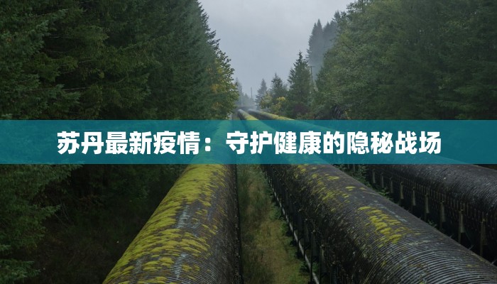 苏丹最新疫情：守护健康的隐秘战场