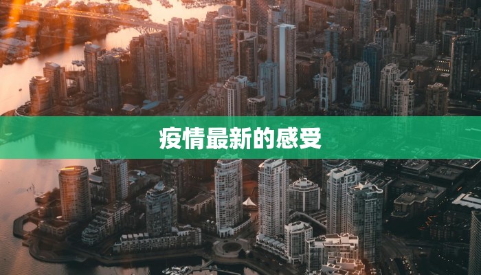 疫情判刑通报最新：守护公共安全的法治之光