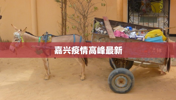 嘉兴疫情高峰最新