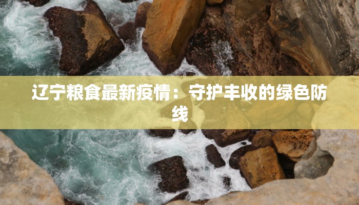 上海靖安疫情最新通报