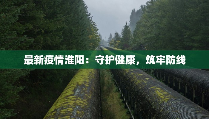 最新疫情淮阳:守护健康,筑牢防线 最新疫情淮阳:守护健康,筑牢防线