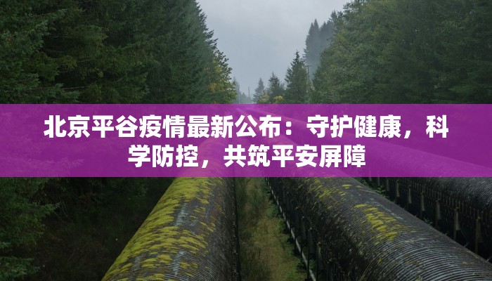 苏州石路国际疫情最新:安全重启,活力无限 苏州石路国际疫情最新:安全重启,活力无限