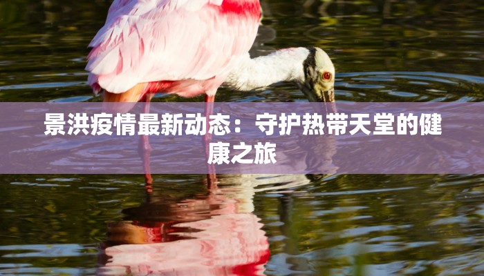 景洪疫情最新动态：守护热带天堂的健康之旅