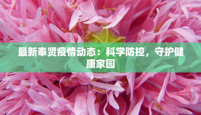 最新奉贤疫情动态:科学防控,守护健康家园 最新奉贤疫情动态:科学防控,守护健康家园